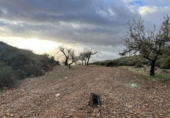 Non-developable land for sale in Cozvíjar ref: TR103941 photo