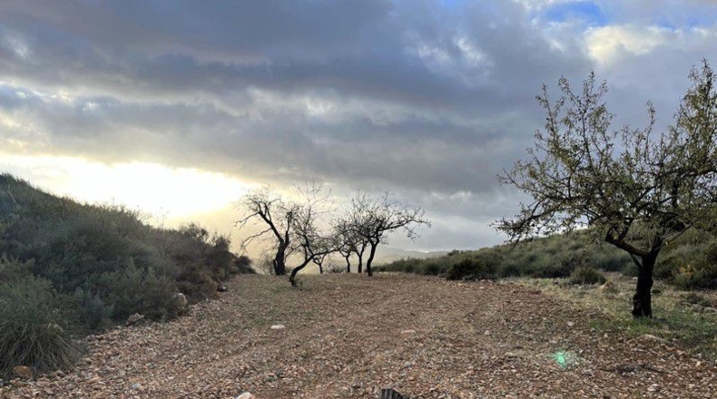 Granada - Cónchar - 10509m2