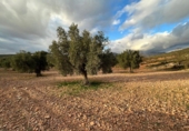 Non-developable land for sale in Cozvíjar ref: TR103941 photo