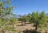 Rural estate for sale in Cozvíjar ref: TR104796 photo