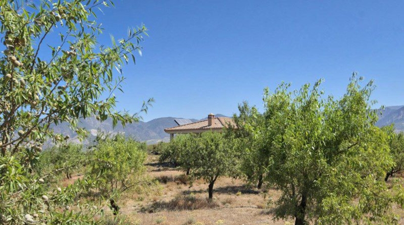Granada - Cónchar - 4752m2