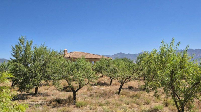 Granada - Cónchar - 4752m2