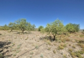 Rural estate for sale in Cozvíjar ref: TR104796 photo