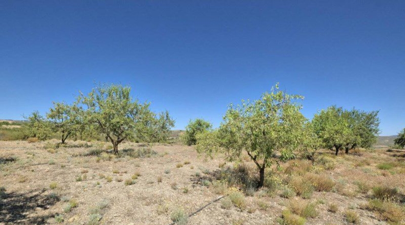 Granada - Cónchar - 4752m2