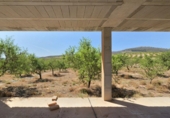 Rural estate for sale in Cozvíjar ref: TR104796 photo