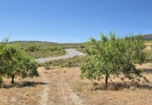 Rural estate for sale in Cozvíjar ref: TR104796 photo