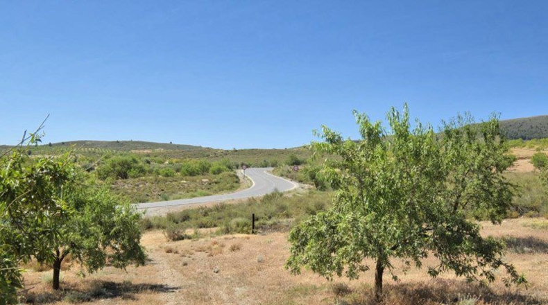 Granada - Cónchar - 4752m2