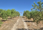 Rural estate for sale in Cozvíjar ref: TR104796 photo