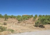 Rural estate for sale in Cozvíjar ref: TR104796 photo