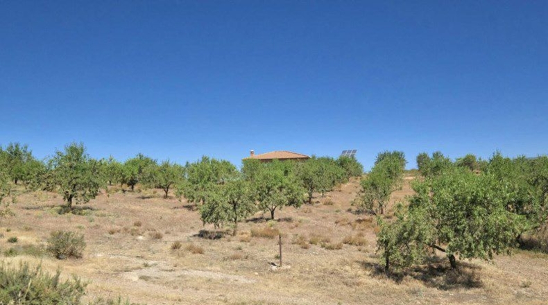 Granada - Cónchar - 4752m2