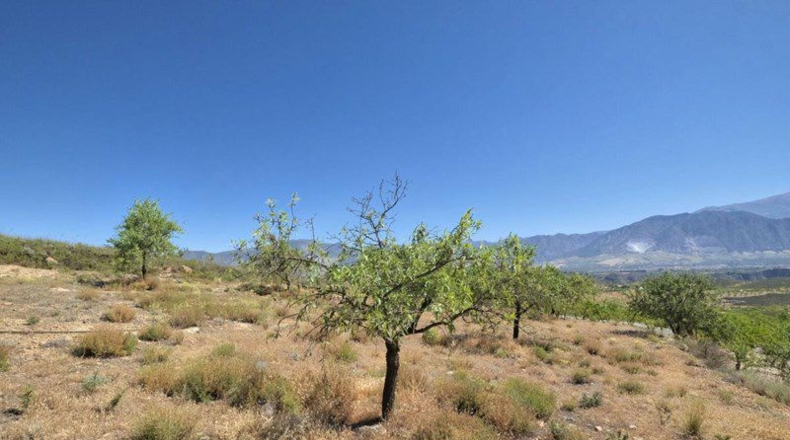 Granada - Cónchar - 4752m2