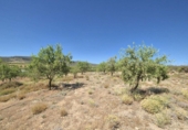 Rural estate for sale in Cozvíjar ref: TR104796 photo