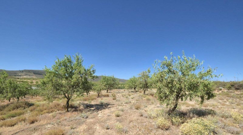 Granada - Cónchar - 4752m2