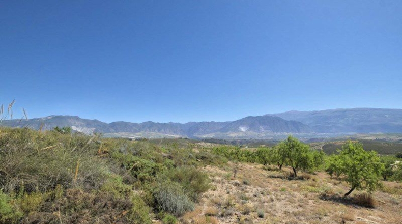 Granada - Cónchar - 4752m2