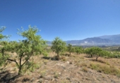 Rural estate for sale in Cozvíjar ref: TR104796 photo