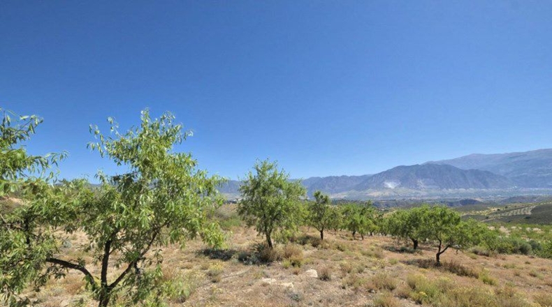 Granada - Cónchar - 4752m2