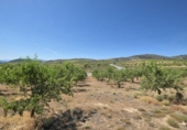 Rural estate for sale in Cozvíjar ref: TR104796 photo