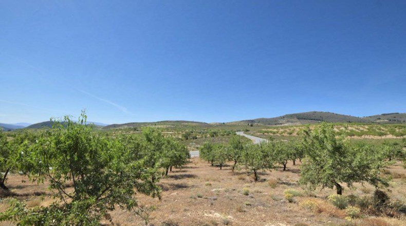 Granada - Cónchar - 4752m2