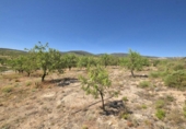 Rural estate for sale in Cozvíjar ref: TR104796 photo