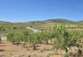 Rural estate for sale in Cozvíjar ref: TR104796 photo