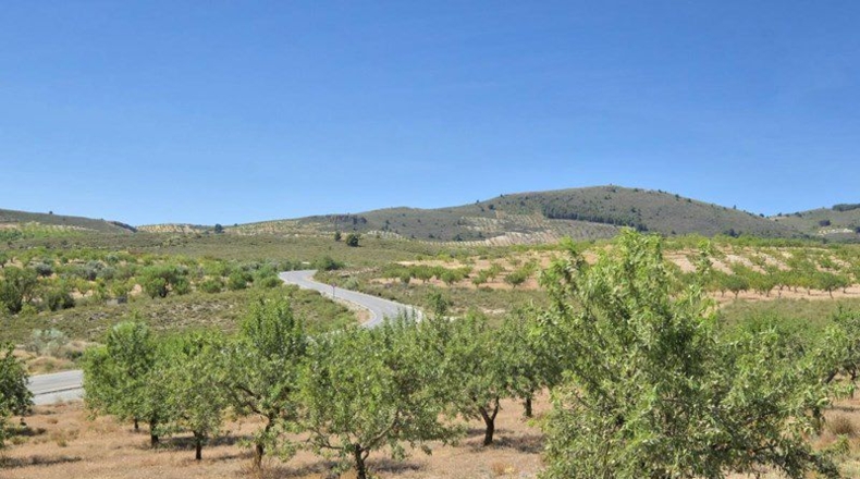 Granada - Cónchar - 4752m2