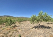 Rural estate for sale in Cozvíjar ref: TR104796 photo