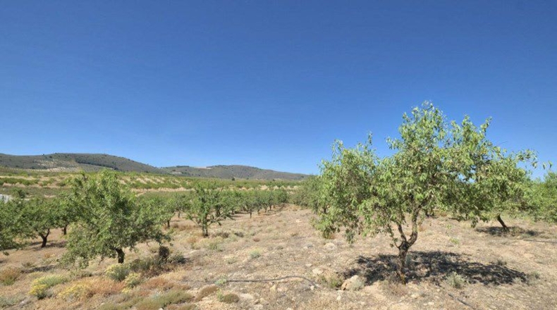 Granada - Cónchar - 4752m2