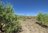 Rural estate for sale in Cozvíjar ref: TR104796 photo