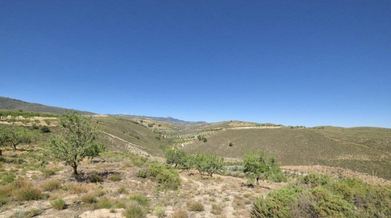 Granada - Cónchar - 4752m2