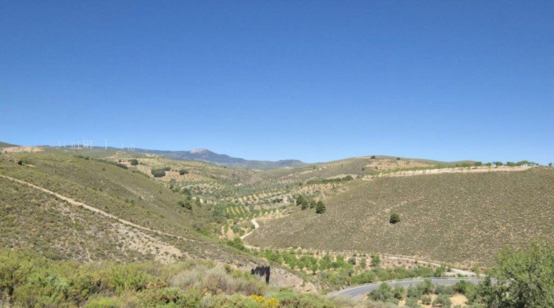 Granada - Cónchar - 4752m2