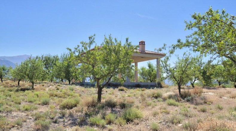 Granada - Cónchar - 4752m2