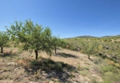 Rural estate for sale in Cozvíjar ref: TR104796 photo