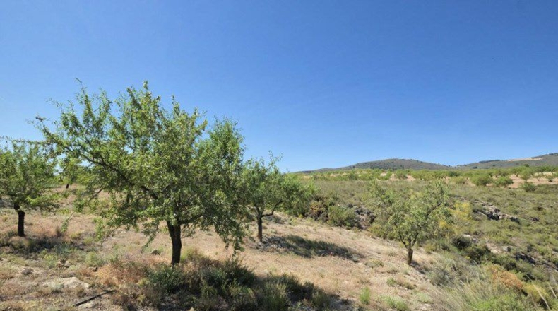 Granada - Cónchar - 4752m2