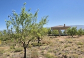Rural estate for sale in Cozvíjar ref: TR104796 photo