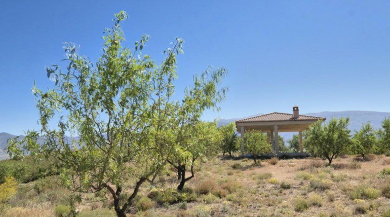 Granada - Cónchar - 4752m2