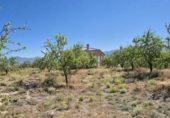 Rural estate for sale in Cozvíjar ref: TR104796 photo