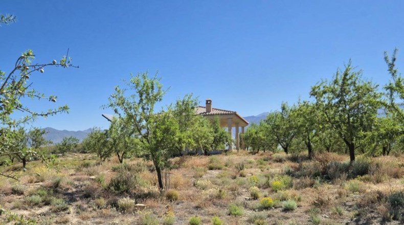 Granada - Cónchar - 4752m2