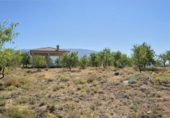 Rural estate for sale in Cozvíjar ref: TR104796 photo
