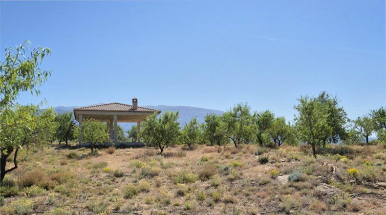 Granada - Cónchar - 4752m2