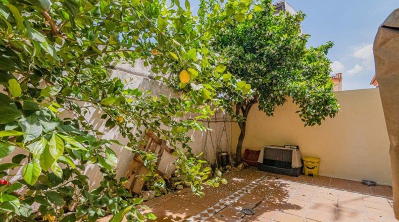 Granada - Belicena - 165m2