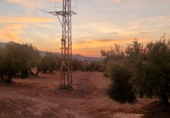 Terreno no urbanizable en venta en Jaén ref: TR353695 foto