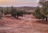 Terreno no urbanizable en venta en Jaén ref: TR353695 foto