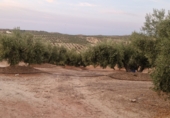 Terreno no urbanizable en venta en Jaén ref: TR353695 foto