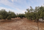 Terreno no urbanizable en venta en Jaén ref: TR353695 foto