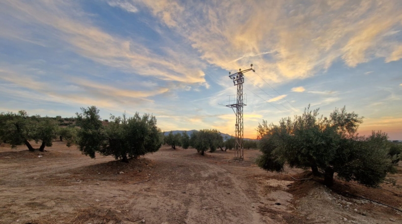 Jaén - Jaén - 210000m2
