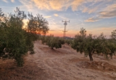 Terreno no urbanizable en venta en Jaén ref: TR353695 foto