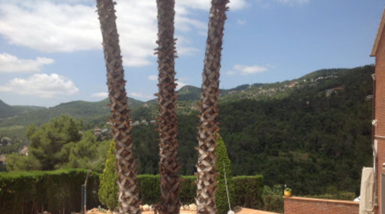 Barcelona - Corbera de Llobregat - 809m2