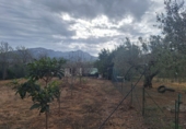 Terreno no urbanizable en venta en Pratdip ref: TR235566 foto