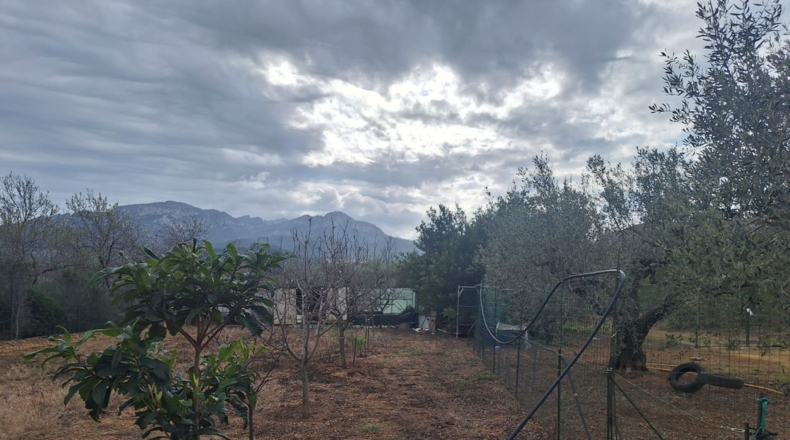 Tarragona - Pratdip - 5600m2