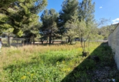 Sòl urbà en venda a la Bisbal del Penedès ref.: TR210855 foto